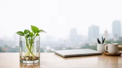 11 loại cây trồng trong nước đẹp dễ sống, không cần đất vẫn xanh mướt